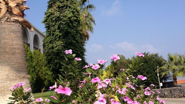 Onar Village Kyrenia  Servicios foto